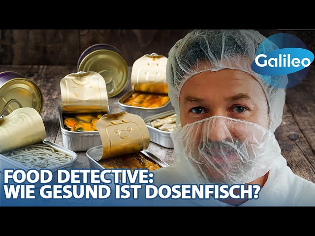 bester thunfisch in der dose gesund