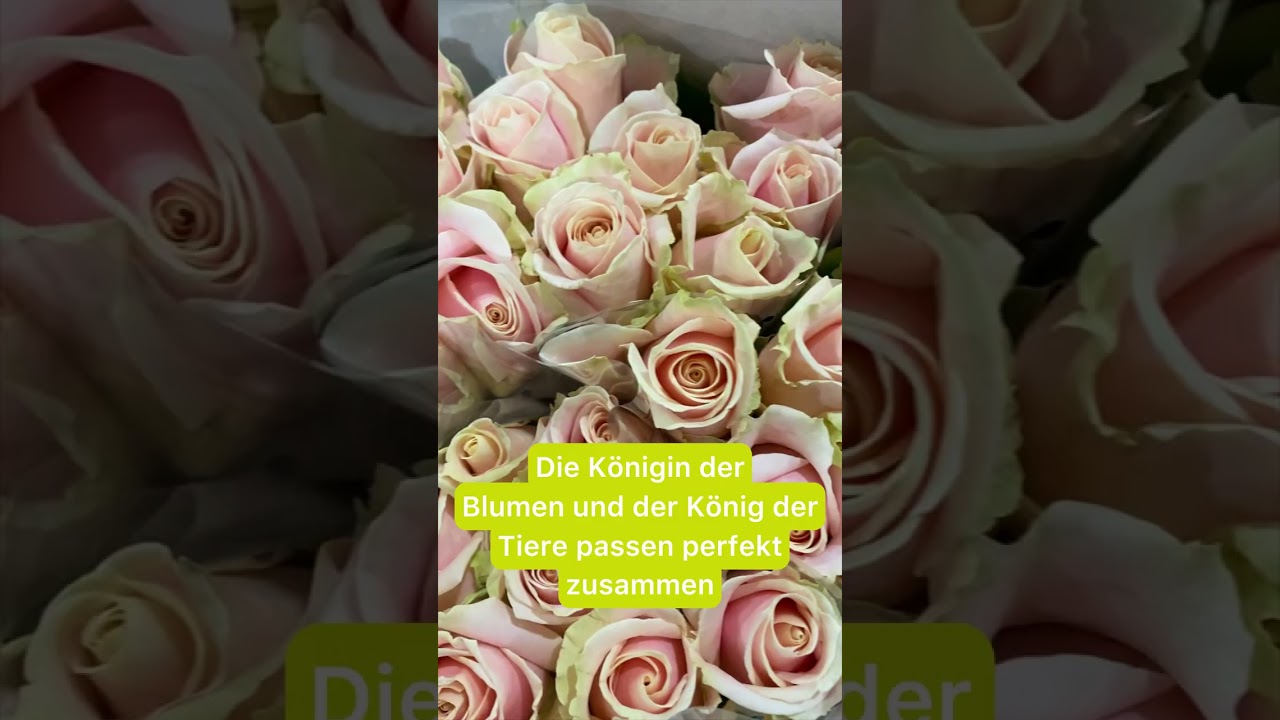 blumenhoroskop