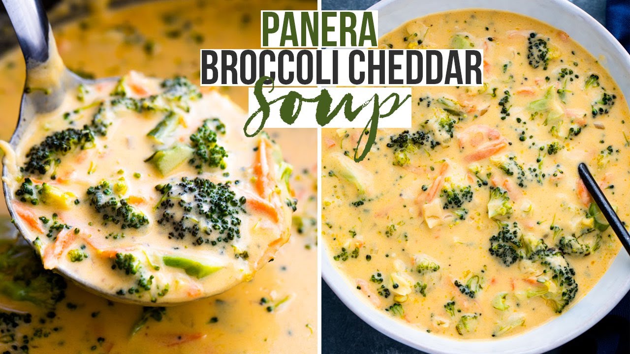 brokkoli cheddar suppe