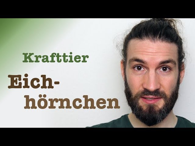 eichhörnchen spirituell