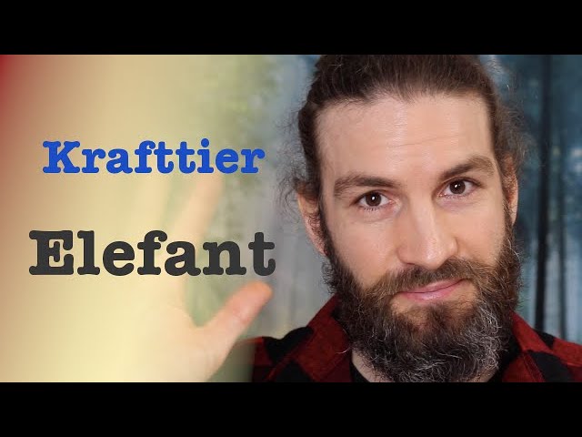 Elefanten Bedeutung 5 faszinierende Insights für Tierliebhaber 4 elefanten bedeutung