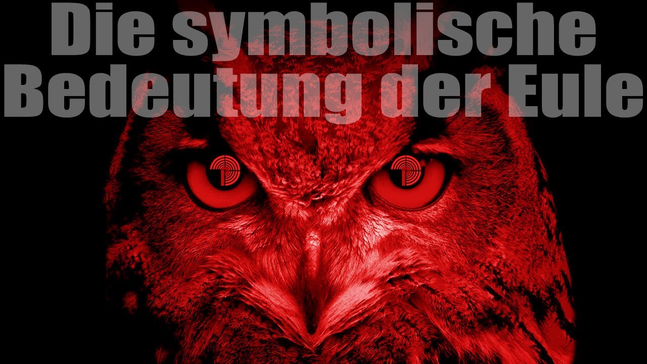 Eulen Tattoo Bedeutung: 7 tiefgründige Symbole für deine Haut 2 eulen tattoo bedeutung