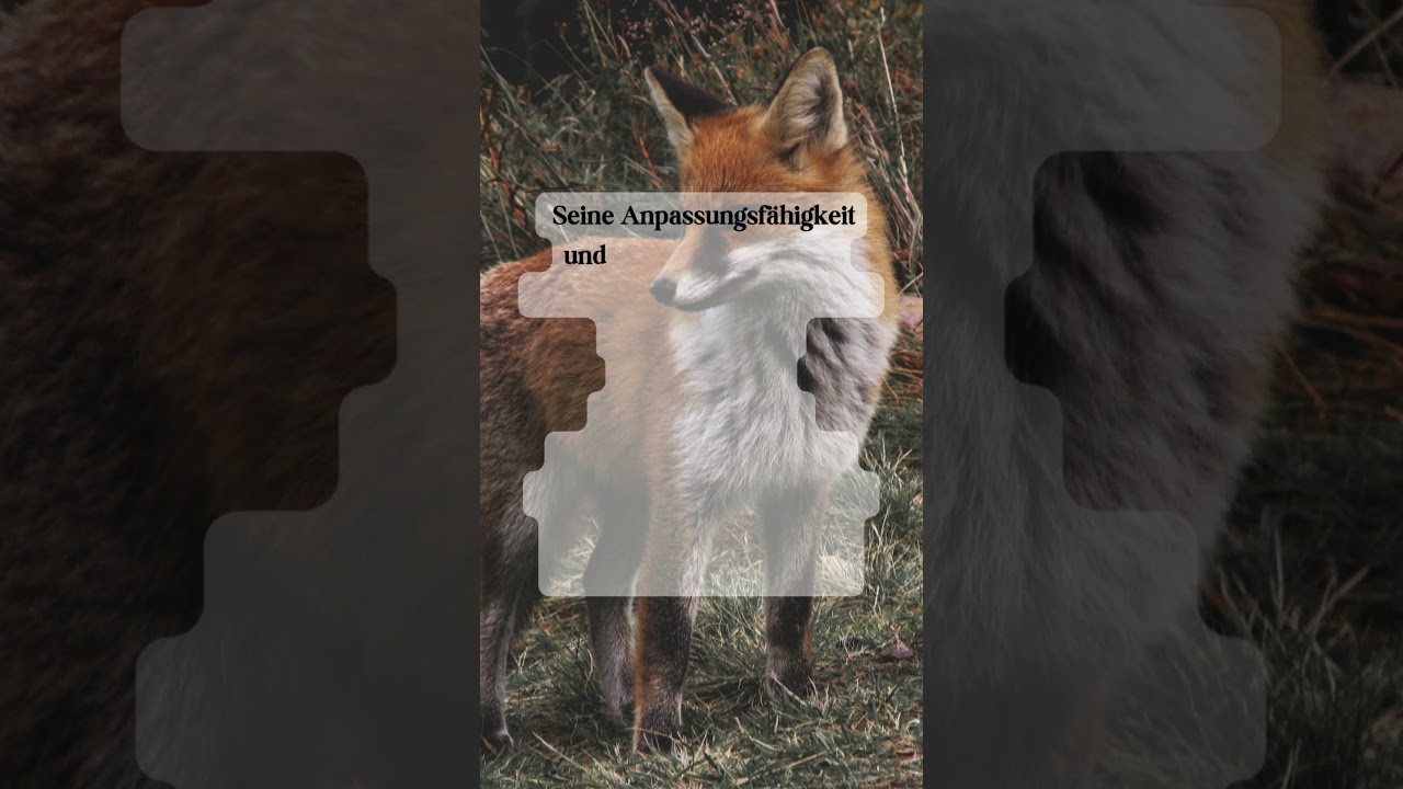 fuchs symbol bedeutung