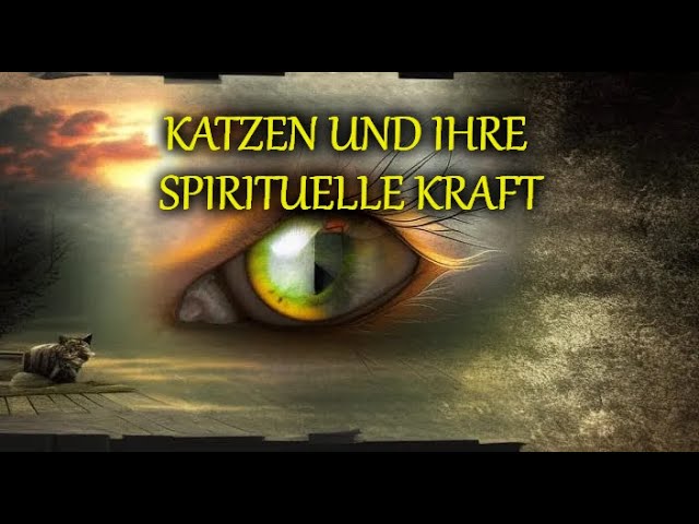 Katze spirituell 7 faszinierende Bedeutungen, die Sie wissen sollten 5 katze spirituell