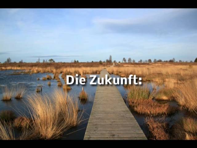 krokodile im traum