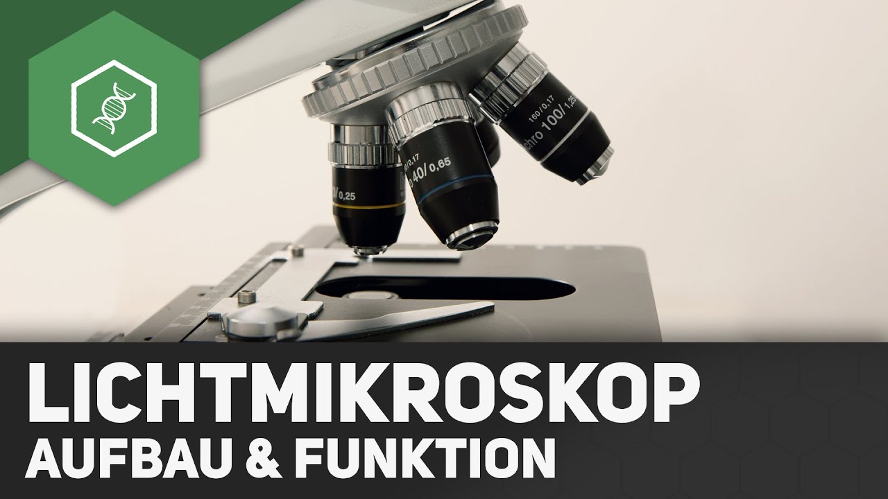 mikroskop beschriftung
