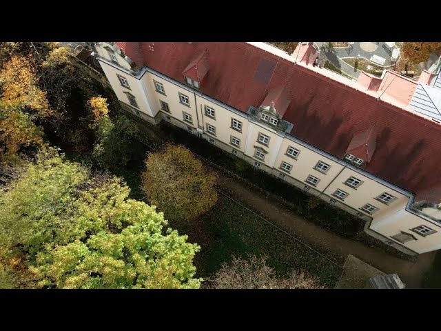 pirna kino