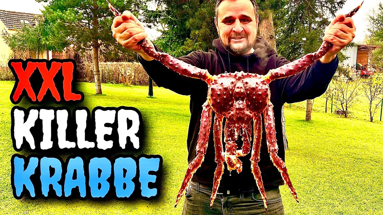 Schneekrabben Rezept 7 köstliche Varianten für jeden Anlass 4 schneekrabben rezept