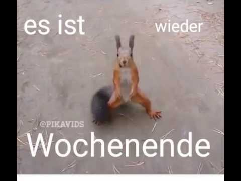 schönes wochenende lustig