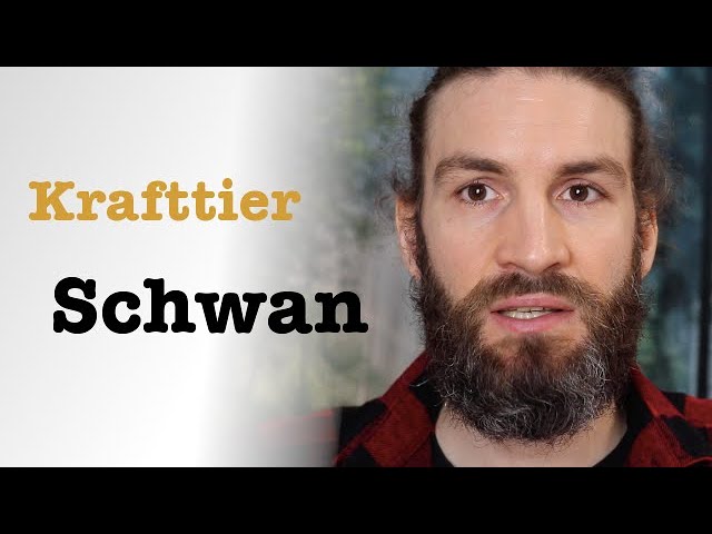 Schwan Krafttier: 7 inspirierende Bedeutungen für dein Leben 5 schwan krafttier