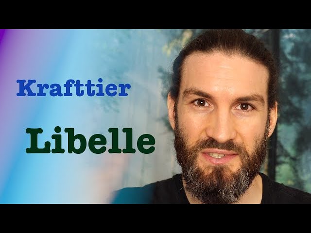 spirituelle bedeutung libelle