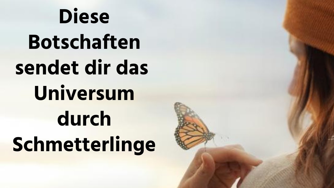 Spirituelle Bedeutung Schmetterling: 7 inspirierende Zeichen entdecken 4 spirituelle bedeutung schmetterling