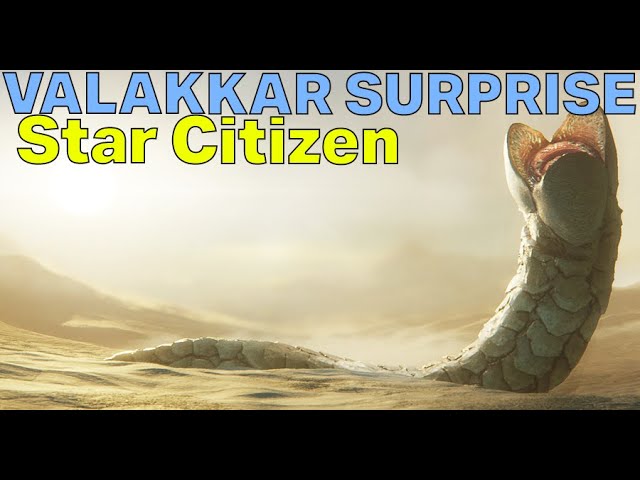 Star Citizen 7 faszinierende Geheimnisse für angehende Piloten 4 star citizen