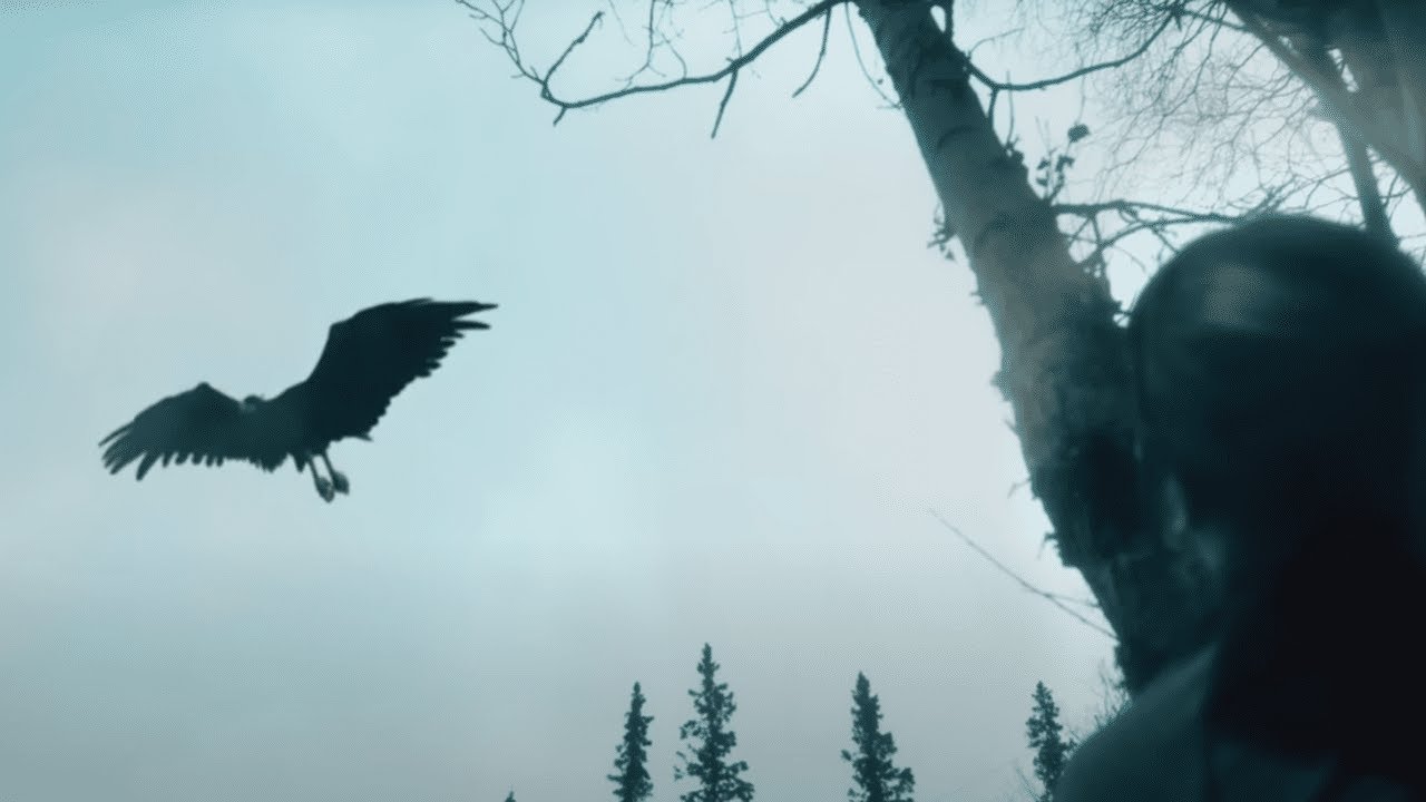 Thunderbird Vogel 7 faszinierende Fakten über seinen Lebensraum 1 thunderbird vogel