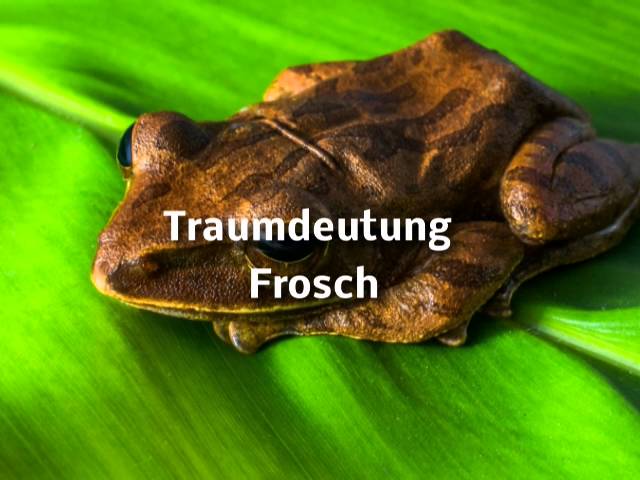 traumdeutung frosch