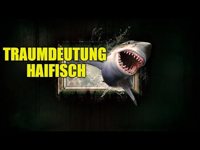 Traumdeutung Hai: 7 bedeutende Interpretationen für deine Träume 5 traumdeutung hai