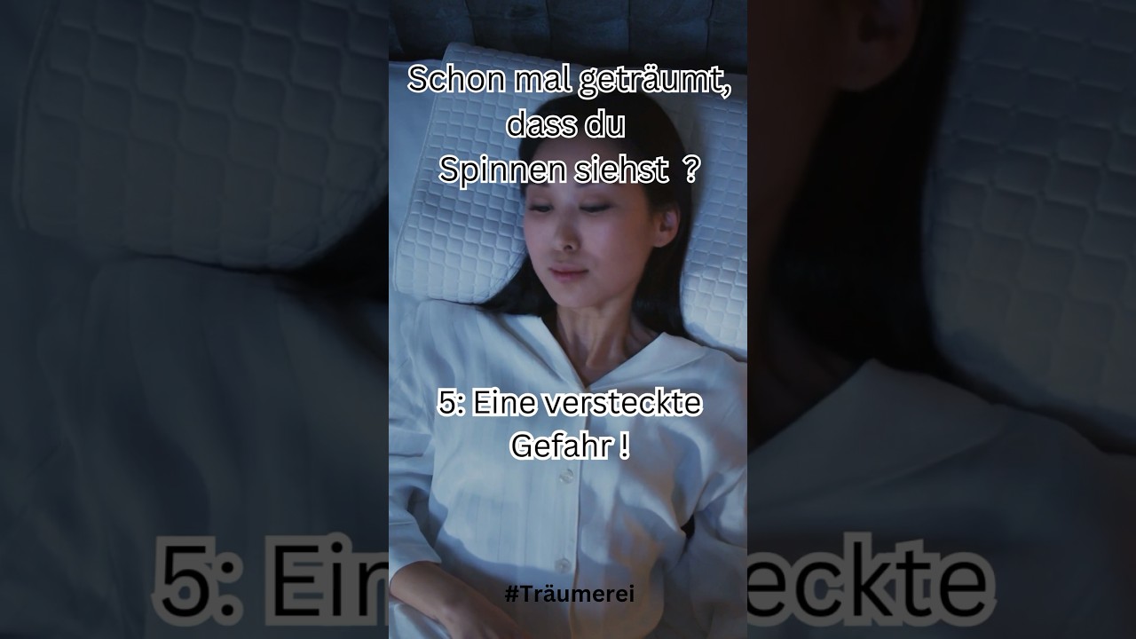 von spinnen geträumt