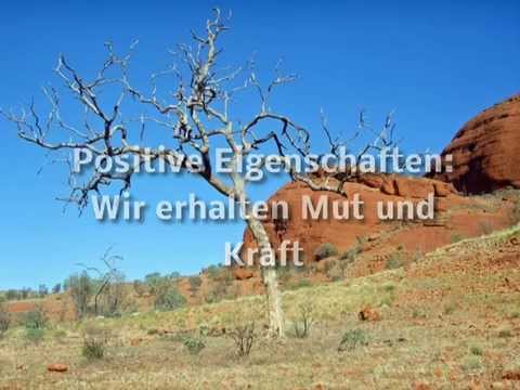 von wölfen träumen