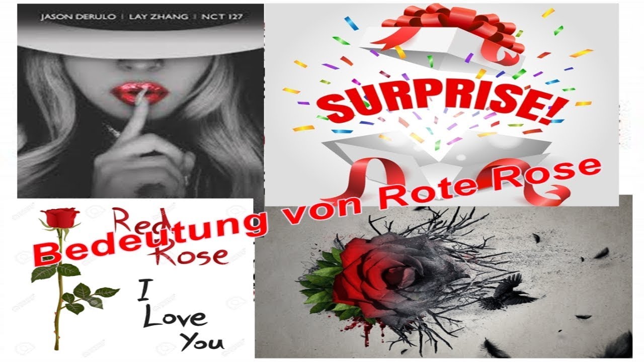 Was bedeutet eine rote Rose? 5 tiefgründige Bedeutungen enthüllt 4 was bedeutet eine rote rose