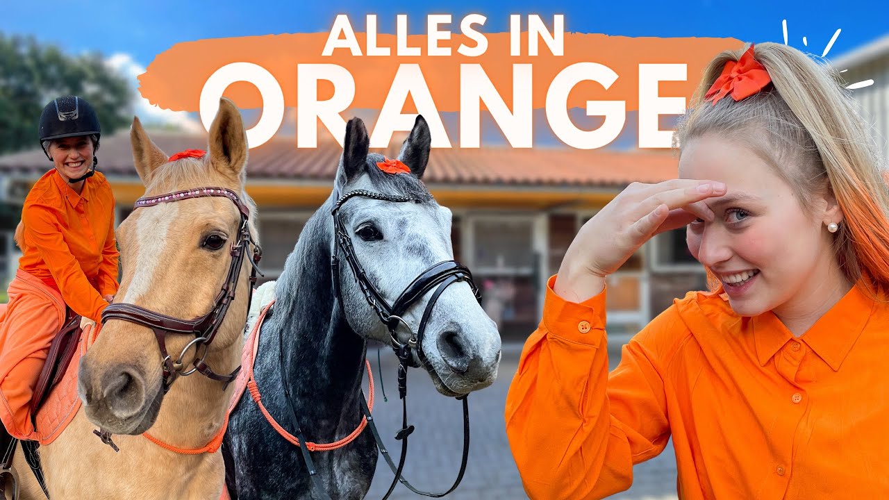 Was ist alles orange? 7 faszinierende Dinge, die überraschen! 4 was ist alles orange