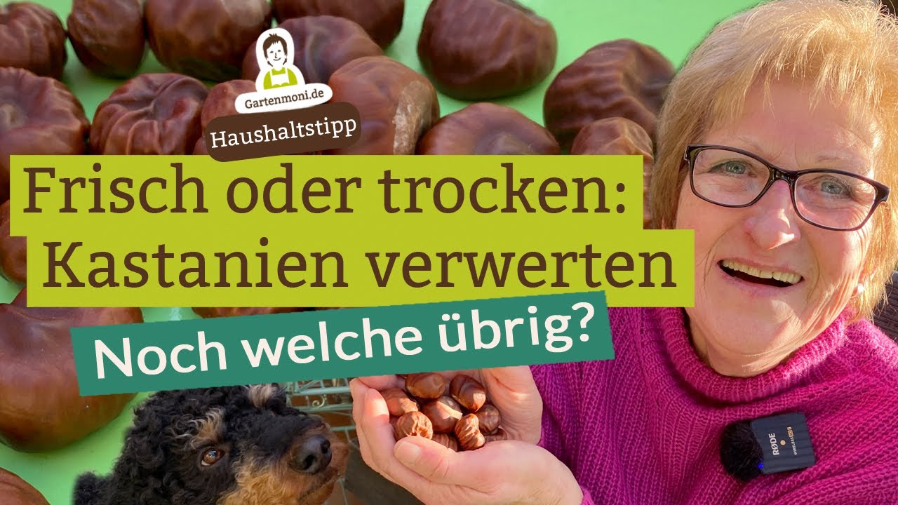 was sind wasserkastanien