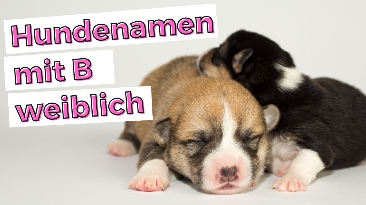 Weibliche Namen mit B: 7 bezaubernde Optionen für Ihr Kind 5 weibliche namen mit b