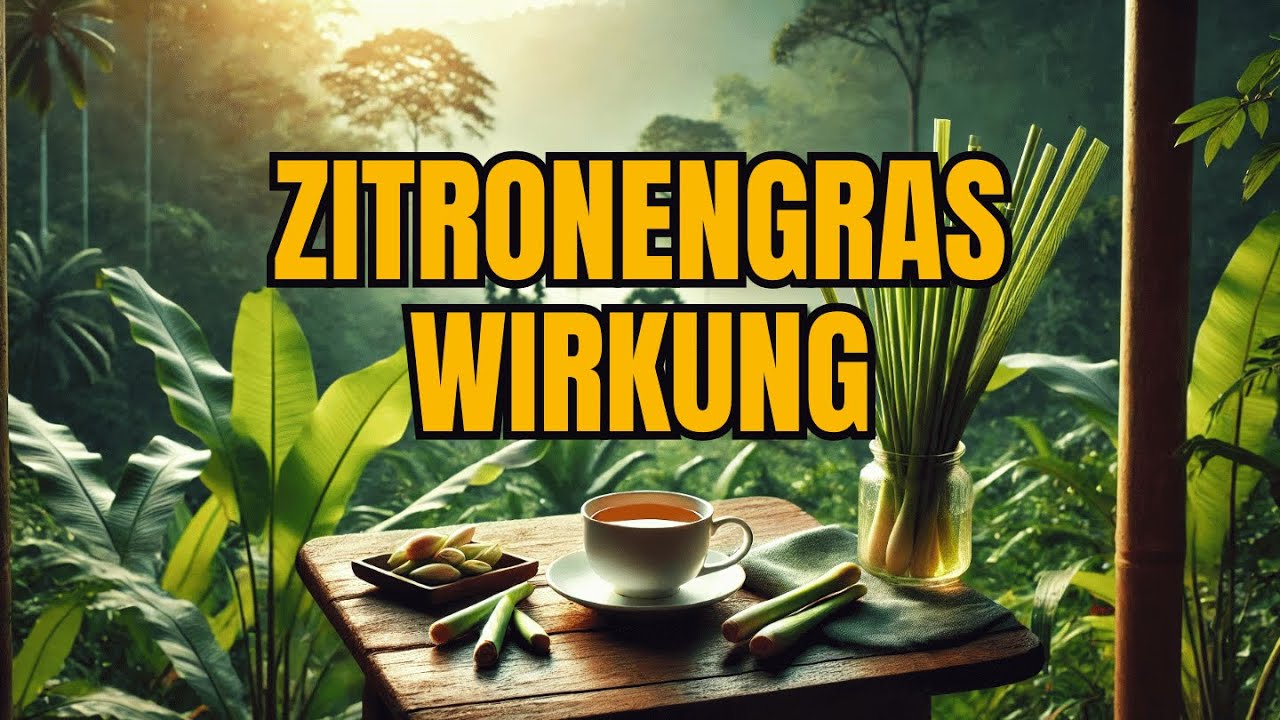 zitronengras tee wirkung