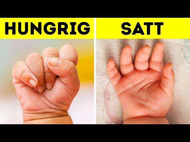 „5 Faktoren, die Sie bei der Babynamenswahl 2025 beachten sollten“ 4 5 faktoren die sie bei der benennung ihres babys berucksichtigen sollten