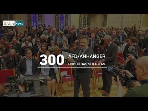 afd münster
