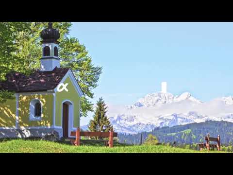 ard alpha