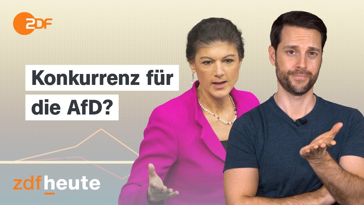 bündnis sahra wagenknecht programm