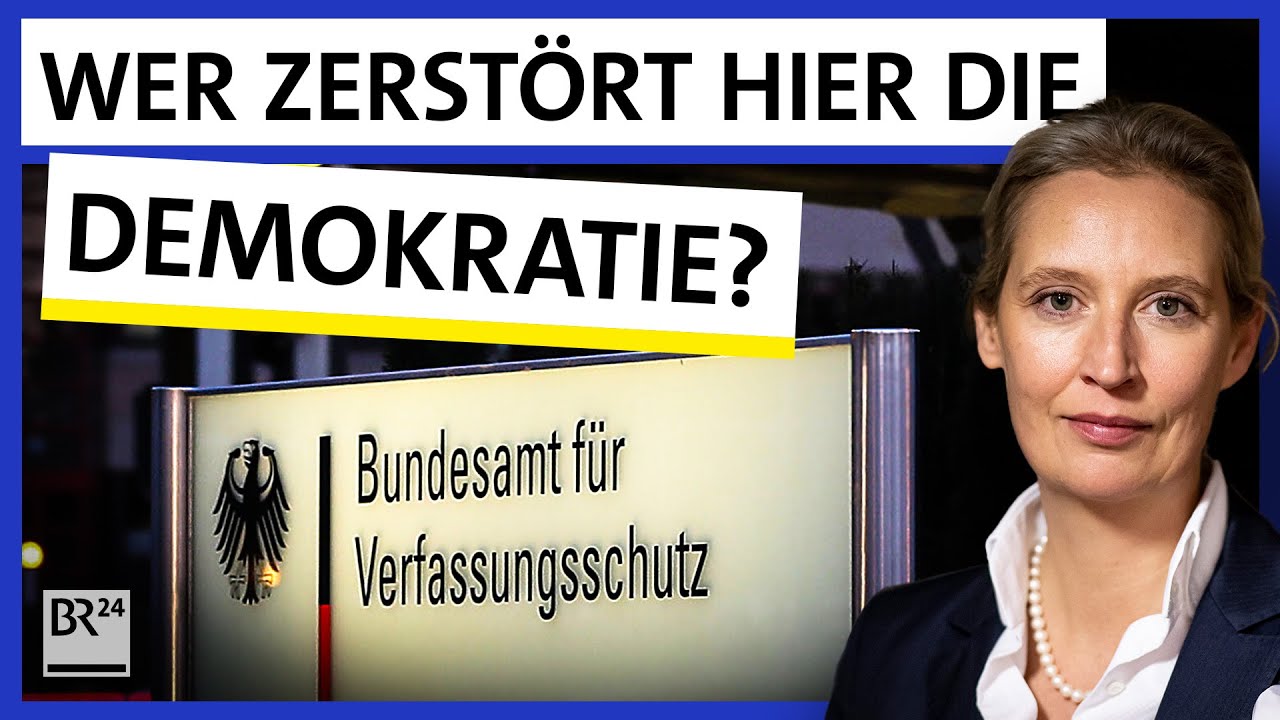 Gegen AfD 2025: 7 wichtige Fakten, die du kennen musst 5 gegen afd