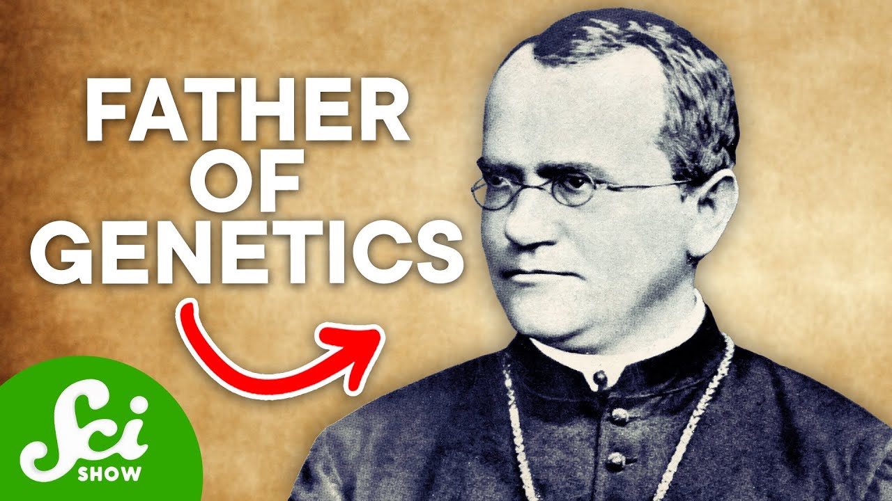 gregor mendel