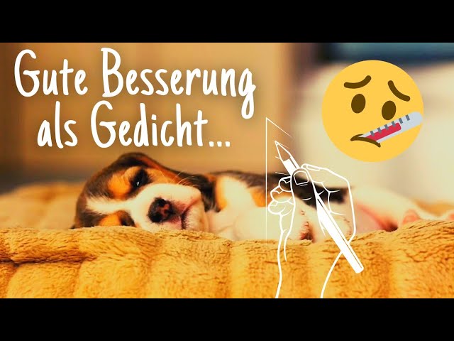 gute besserung bild kostenlos