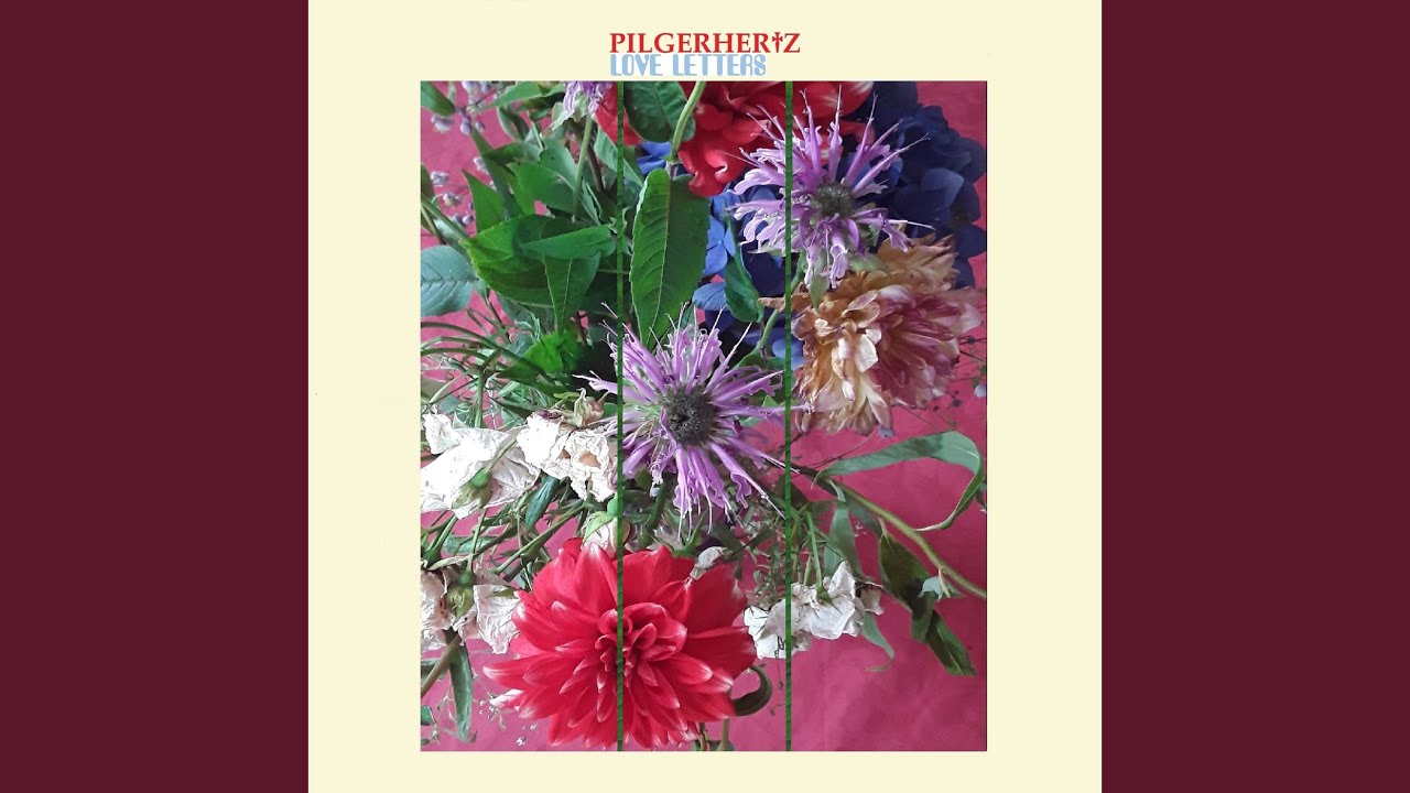 pilger busreisen 2024