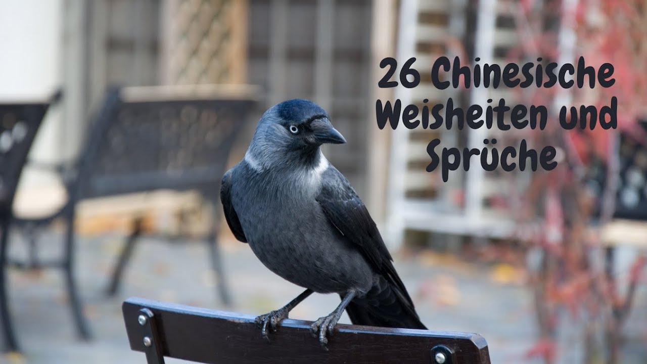 Chinesische sprichworte: Ratgeber, einfach erklärt – 25 Weisheiten 4 chinesische sprichworte