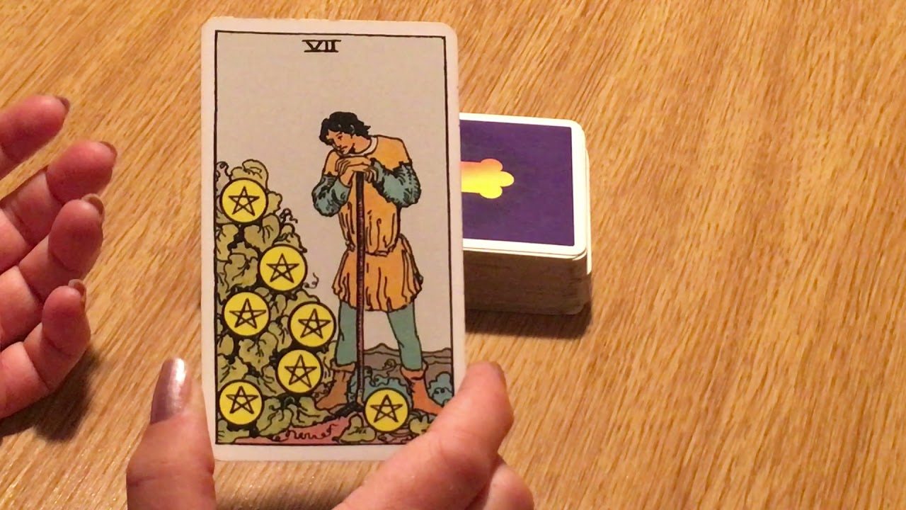 7 münzen tarot