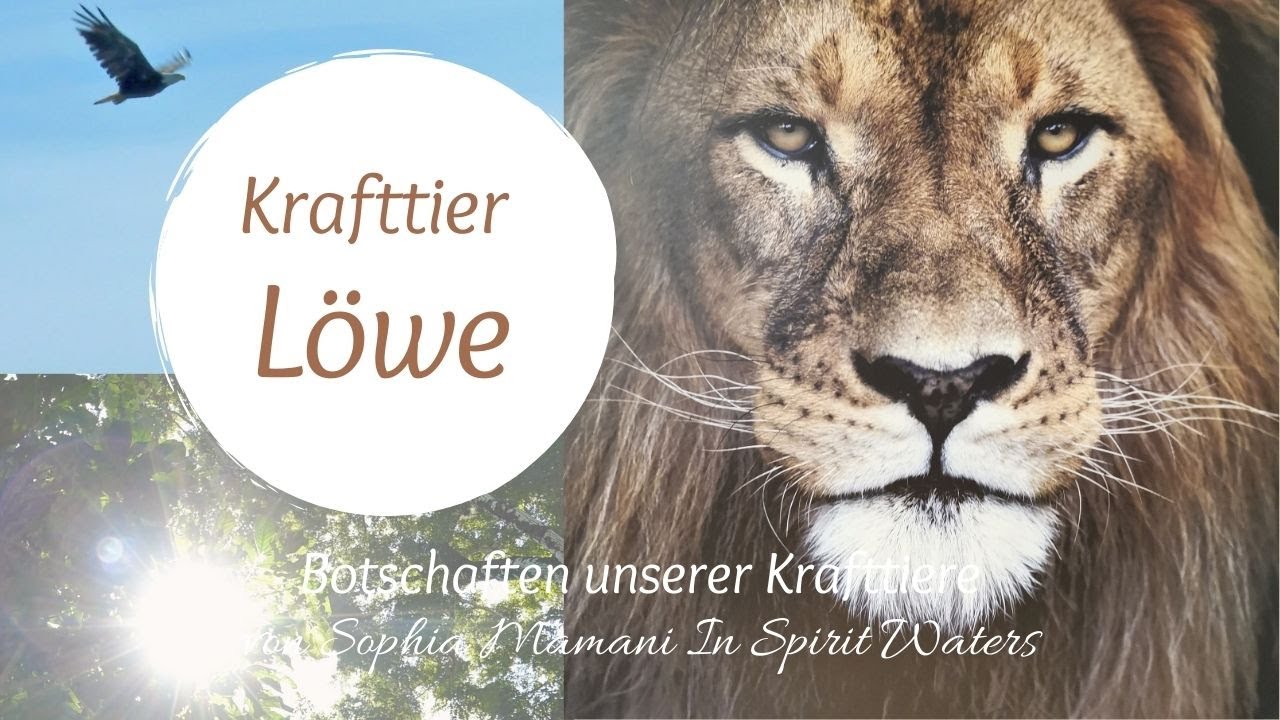 Krafttier löwe: Ratgeber - Bedeutung besser verstehen in 7 Schritten 4 krafttier löwe