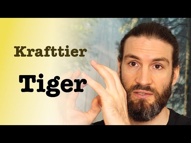 tiger krafttier