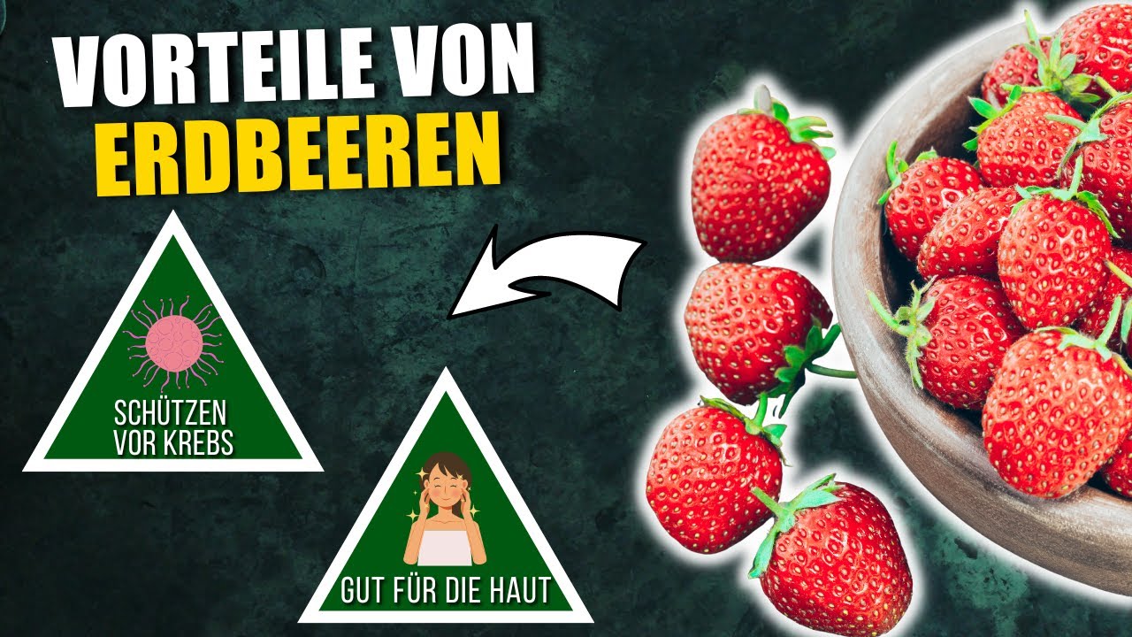 erdbeeren gesundheit
