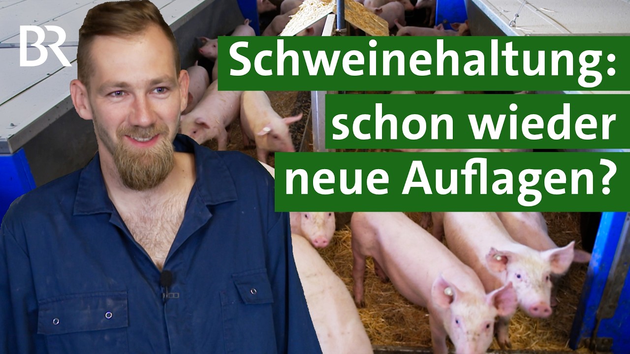 stallgeruch eines westdeutschen