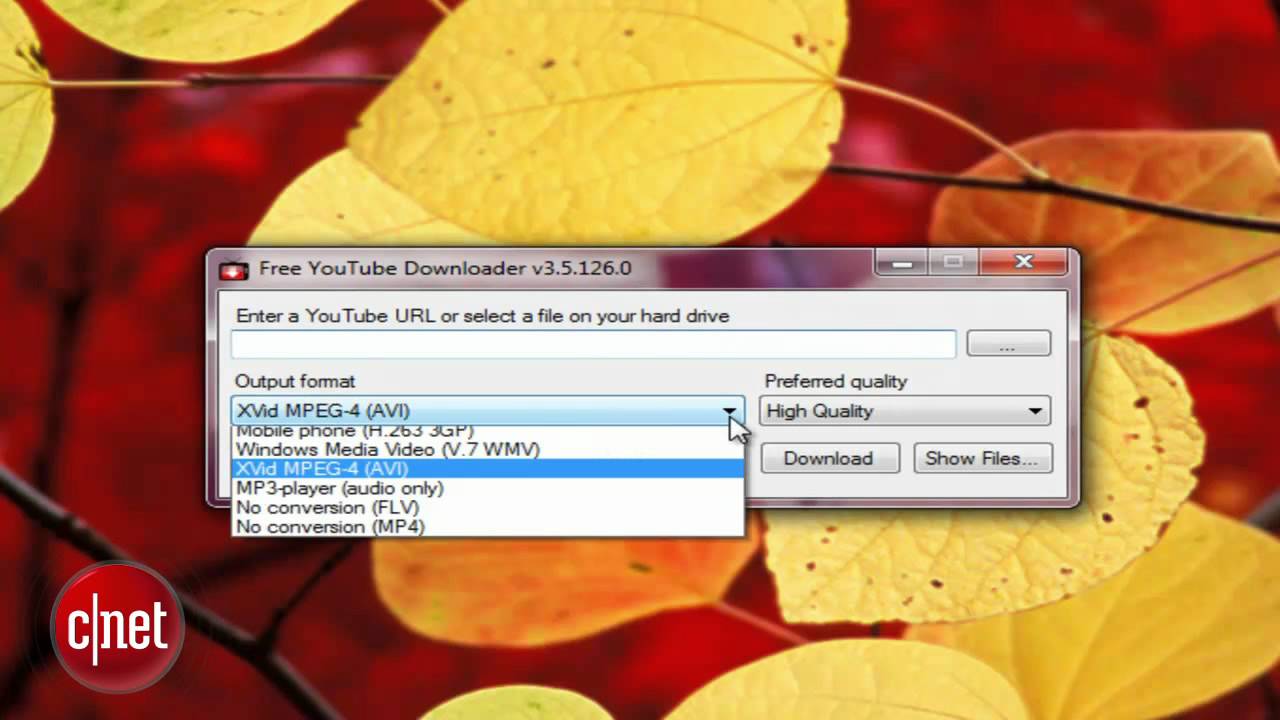 youtube downloader